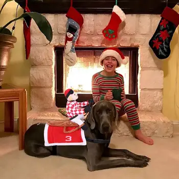  Božićno odjeća za pse Mačka Pas Kostim Djeda Mraza za jahanje Božićni domjenak Zabavna odjeća za kućne ljubimce Odjeća za kućne ljubimce pse Cosplay Odijelo za pse