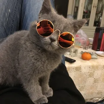 Trendy Sunčane naočale za mačke Mali Kućni pas Mačka, kao što su Naočale i Zaštitu za oči za pse Cool naočale Fotografije Rekvizite Zabavne Pribor za kućne ljubimce